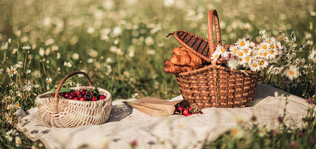 Why Mizu Lab Is the Picnic Must-Have You Didn’t Know You Needed